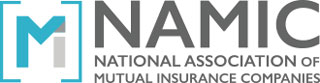 NAMIC